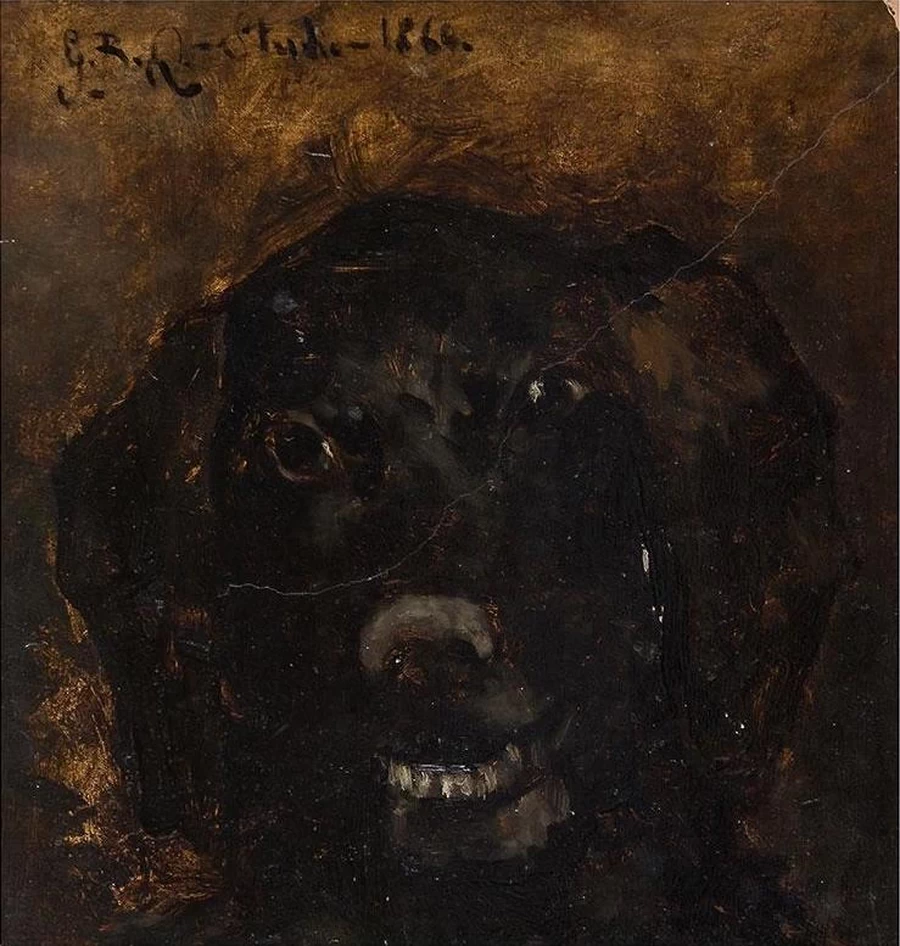 Testa di cane